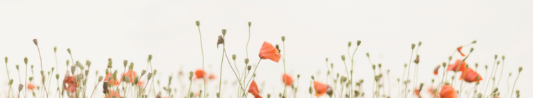 Les Signes Astrologiques Les Plus Beaux Physiquement Blog'ASTROCLAIR | Connaissez-vous vraiment le printemps